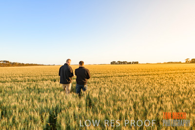 October 2019 / ROSEWORTHY_SA_191018-0202