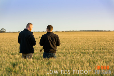 October 2019 / ROSEWORTHY_SA_191018-0203