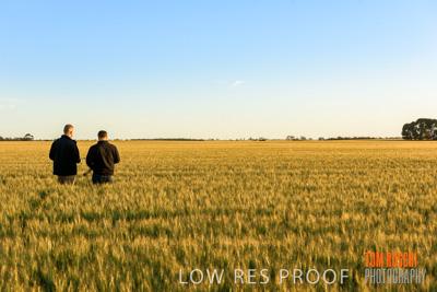 October 2019 / ROSEWORTHY_SA_191018-0207