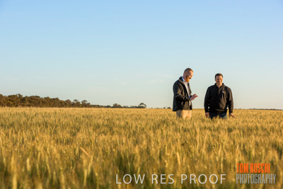 October 2019 / ROSEWORTHY_SA_191018-0235