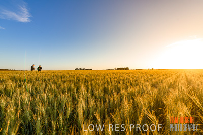 October 2019 / ROSEWORTHY_SA_191018-0236