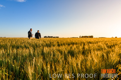 October 2019 / ROSEWORTHY_SA_191018-0242