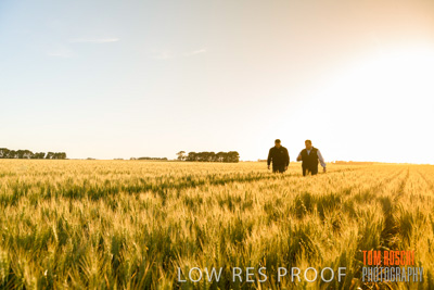 October 2019 / ROSEWORTHY_SA_191018-0281