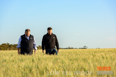 October 2019 / ROSEWORTHY_SA_191018-0299