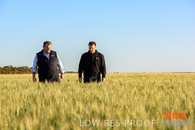 October 2019 / ROSEWORTHY_SA_191018-0310