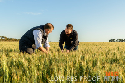 October 2019 / ROSEWORTHY_SA_191018-0329