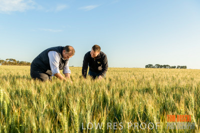 October 2019 / ROSEWORTHY_SA_191018-0331