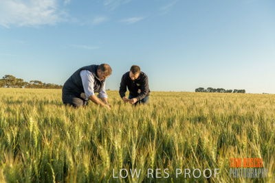 October 2019 / ROSEWORTHY_SA_191018-0335