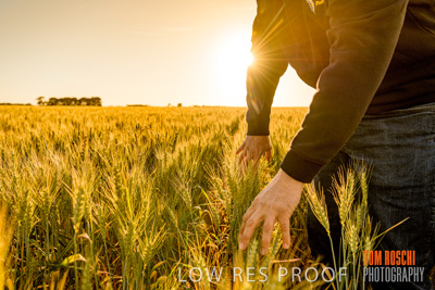 October 2019 / ROSEWORTHY_SA_191018-0378