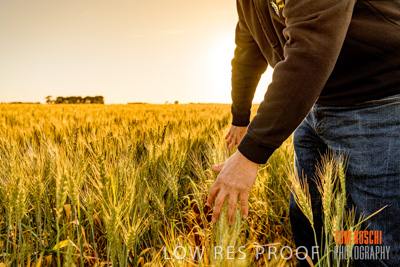 October 2019 / ROSEWORTHY_SA_191018-0379