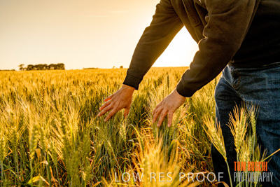 October 2019 / ROSEWORTHY_SA_191018-0381