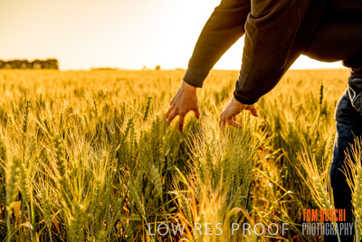 October 2019 / ROSEWORTHY_SA_191018-0386