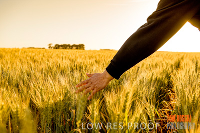 October 2019 / ROSEWORTHY_SA_191018-0392