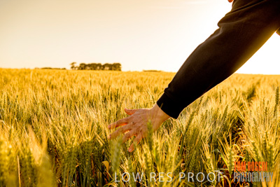 October 2019 / ROSEWORTHY_SA_191018-0394