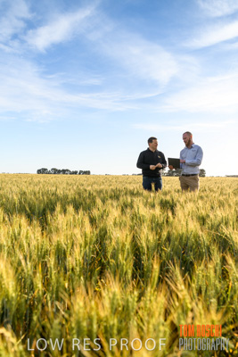 October 2019 / ROSEWORTHY_SA_191018-0460