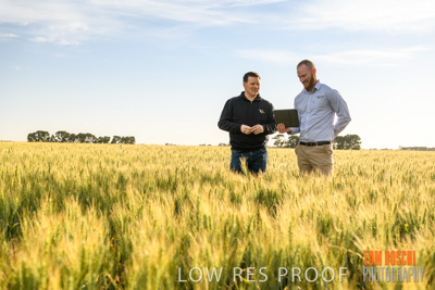 October 2019 / ROSEWORTHY_SA_191018-0470