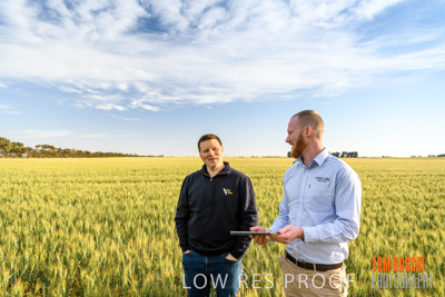 October 2019 / ROSEWORTHY_SA_191018-0476