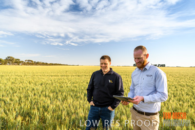 October 2019 / ROSEWORTHY_SA_191018-0478