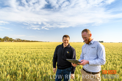 October 2019 / ROSEWORTHY_SA_191018-0479