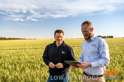 October 2019 / ROSEWORTHY_SA_191018-0481