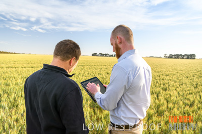 October 2019 / ROSEWORTHY_SA_191018-0487