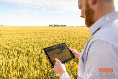 October 2019 / ROSEWORTHY_SA_191018-0528