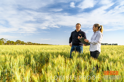 October 2019 / ROSEWORTHY_SA_191018-0531