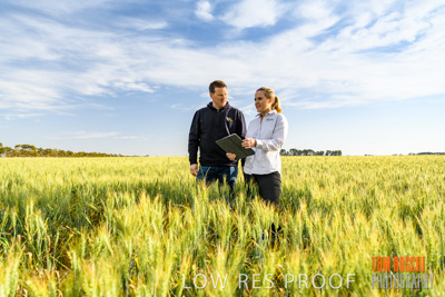 October 2019 / ROSEWORTHY_SA_191018-0534