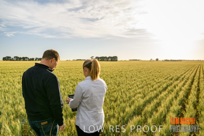 October 2019 / ROSEWORTHY_SA_191018-0558