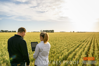 October 2019 / ROSEWORTHY_SA_191018-0561