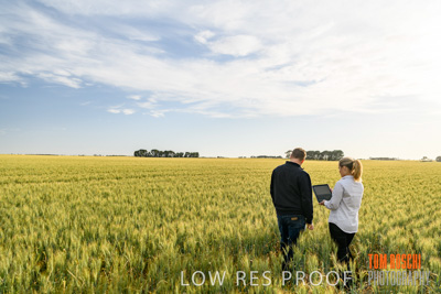 October 2019 / ROSEWORTHY_SA_191018-0571