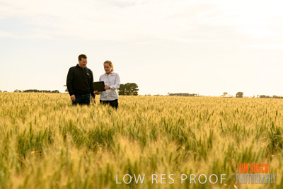 October 2019 / ROSEWORTHY_SA_191018-0586