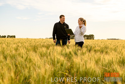 October 2019 / ROSEWORTHY_SA_191018-0608