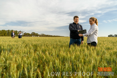 October 2019 / ROSEWORTHY_SA_191018-0642