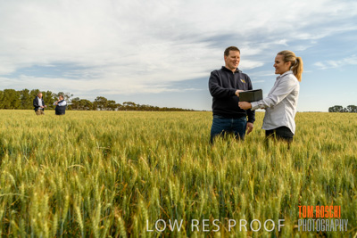 October 2019 / ROSEWORTHY_SA_191018-0644
