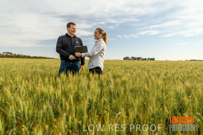 October 2019 / ROSEWORTHY_SA_191018-0645