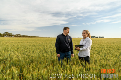 October 2019 / ROSEWORTHY_SA_191018-0649