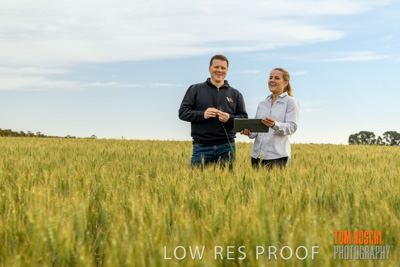 October 2019 / ROSEWORTHY_SA_191018-0676