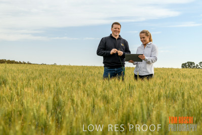 October 2019 / ROSEWORTHY_SA_191018-0678