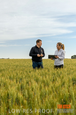 October 2019 / ROSEWORTHY_SA_191018-0686