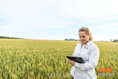 October 2019 / ROSEWORTHY_SA_191018-0690