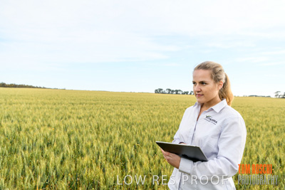 October 2019 / ROSEWORTHY_SA_191018-0691