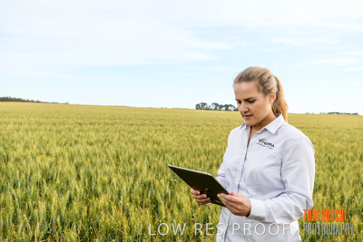 October 2019 / ROSEWORTHY_SA_191018-0692