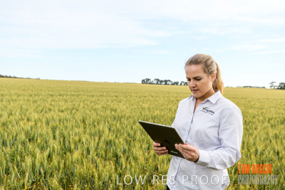 October 2019 / ROSEWORTHY_SA_191018-0693