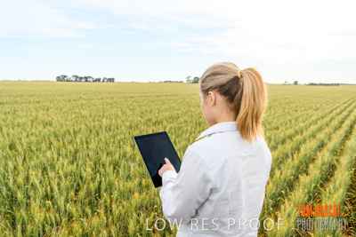 October 2019 / ROSEWORTHY_SA_191018-0703