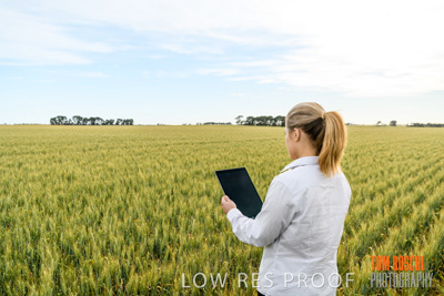 October 2019 / ROSEWORTHY_SA_191018-0705