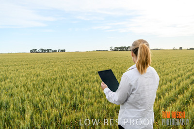 October 2019 / ROSEWORTHY_SA_191018-0706