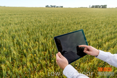 October 2019 / ROSEWORTHY_SA_191018-0718