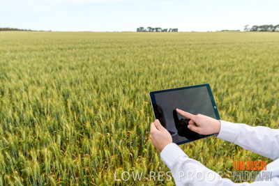 October 2019 / ROSEWORTHY_SA_191018-0719