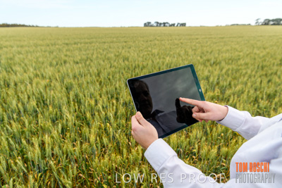 October 2019 / ROSEWORTHY_SA_191018-0721